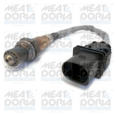 Oxygen Sensor